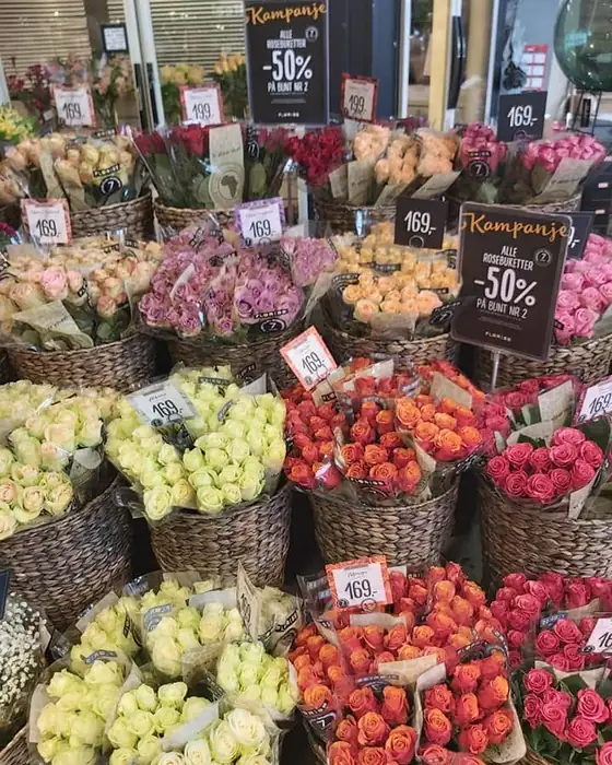Snittblomster i bøtter med prisskilt i butikken
